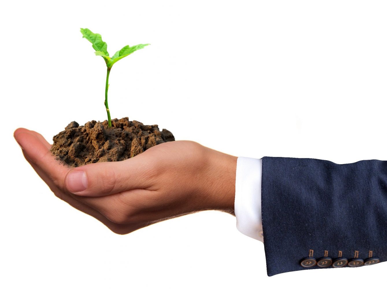 Discovering Buried Seeds for Creative Development