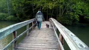 My dog and I on a walk.